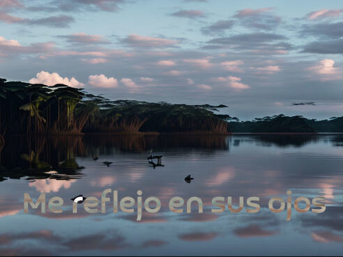 Póster del cortometraje regional Me reflejo en sus ojos, producido con Corporación Tapioca en Mitú, en el Vaupés.